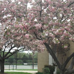 Meet your Posher, Escalantes